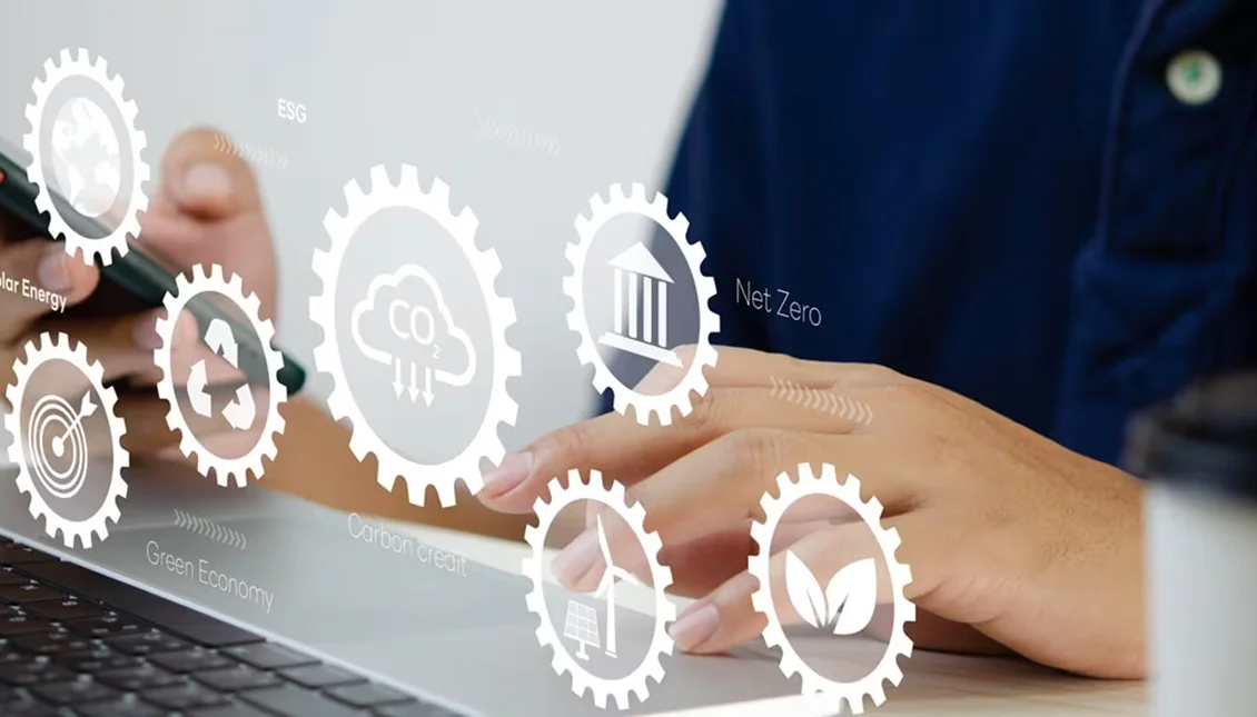 Export & Integration Support: